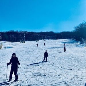 Meet your Posher, Diana